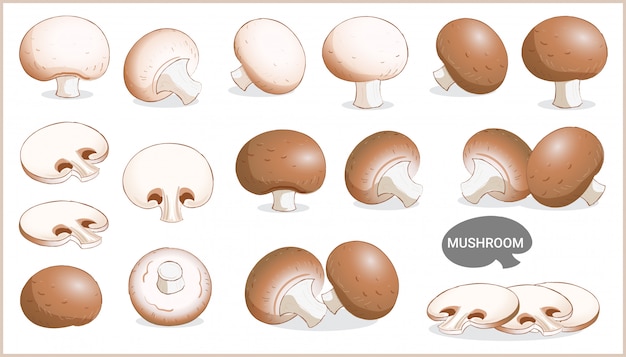 Set di illustrazione di funghi