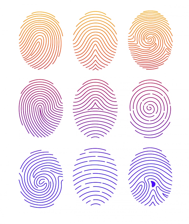 Vettore set di illustrazione di impronte digitali di forma diversa con sfumatura di colore nella riga e su sfondo bianco.