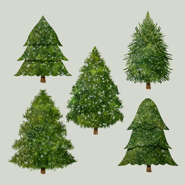 Set di illustrazioni ad acquerello dell'albero invernale