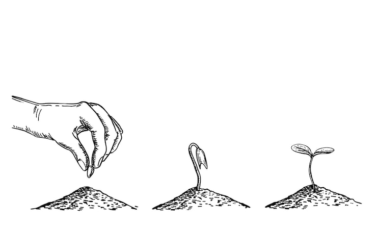 Vettore set di illustrazioni con schizzi delle fasi di crescita delle piante una mano pianta un seme nel terreno immagine