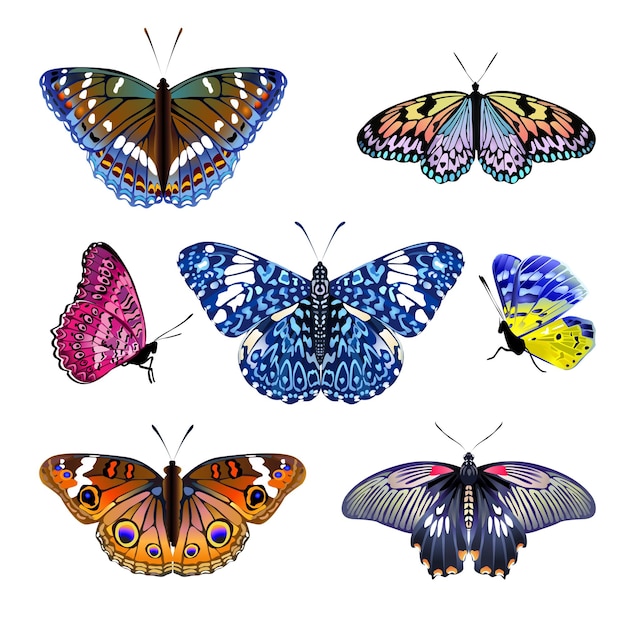 Set di illustrazioni di farfalle