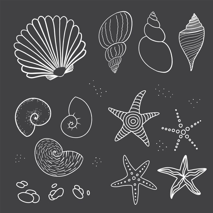 Vettore set di illustrazioni disegnate a mano della vita marina vettoriale isolate molluschi capesante conchiglie stelle marine