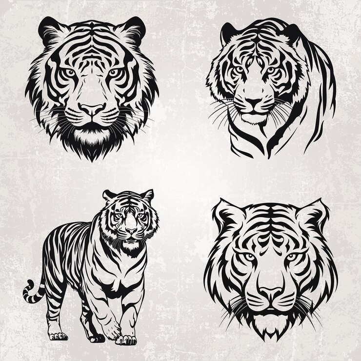 Vettore set di illustrazioni vettoriali della silhouette della testa di tigre