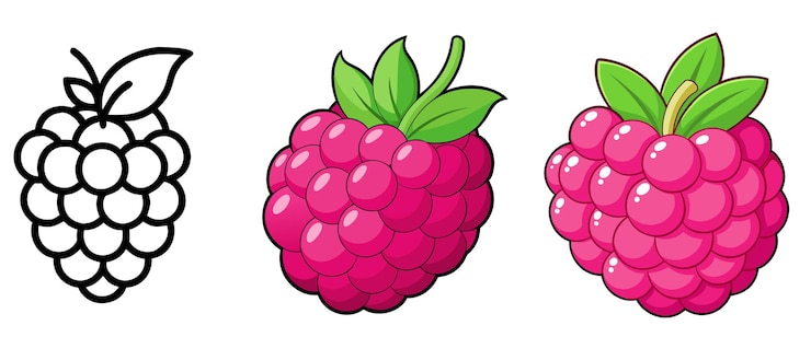 Vettore set di illustrazioni vettoriali di frutta di lampone