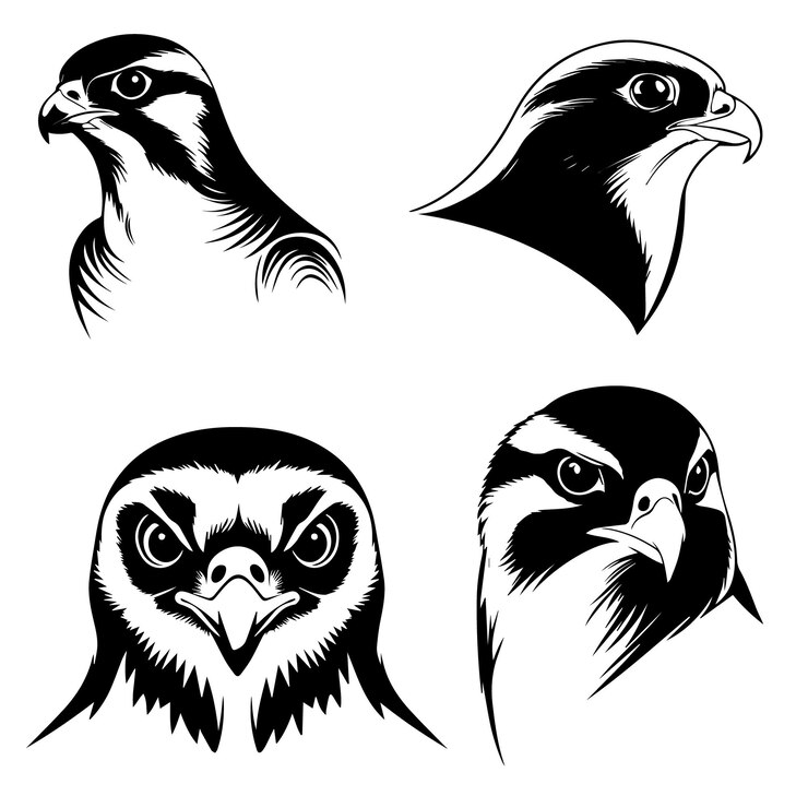 Set di illustrazioni vettoriali di silhouette della faccia di un falco pellegrino