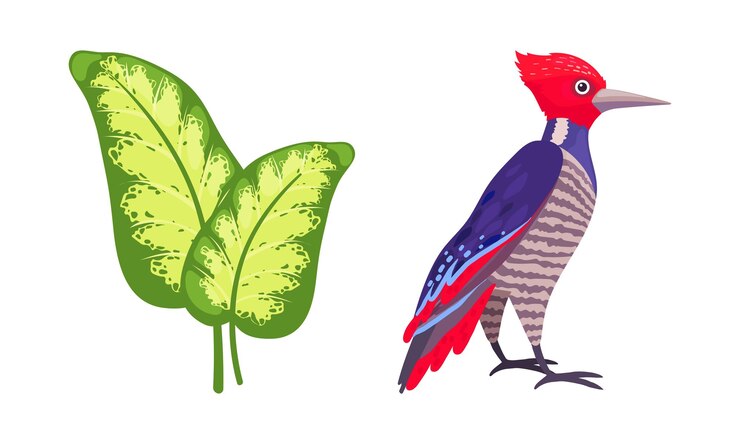 Vettore set di illustrazioni vettoriali di uccelli tropicali con piume brillanti e foglie verdi