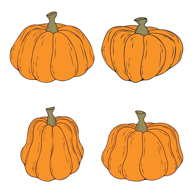 Set di illustrazioni vettoriali di zucca disegnate a mano