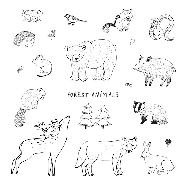 Set di illustrazioni vettoriali per animali della foresta