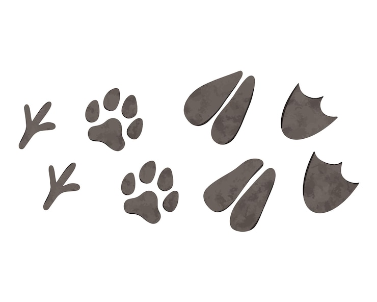 Vettore set di impronte di animali domestici dei cartoni animati digitale disegnato a mano pollo da fattoria mucca oca cane illustrazione per cartellone postale di design tessile disegno in stile cartone animato per la stampa