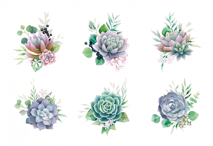Vettore set di mazzi di fiori succulenti e verde per invito a nozze o cartolina d'auguri.
