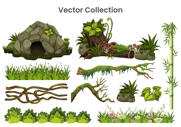 Set di oggetti giungla e foresta Disegno vettoriale
