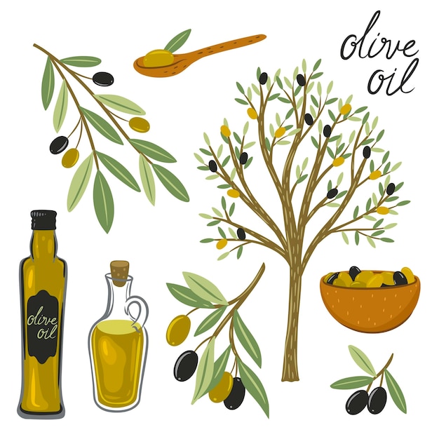 Set di olive nere e verdi e bottiglie di olio d'oliva olivo isolato su sfondo bianco Grafica vettoriale
