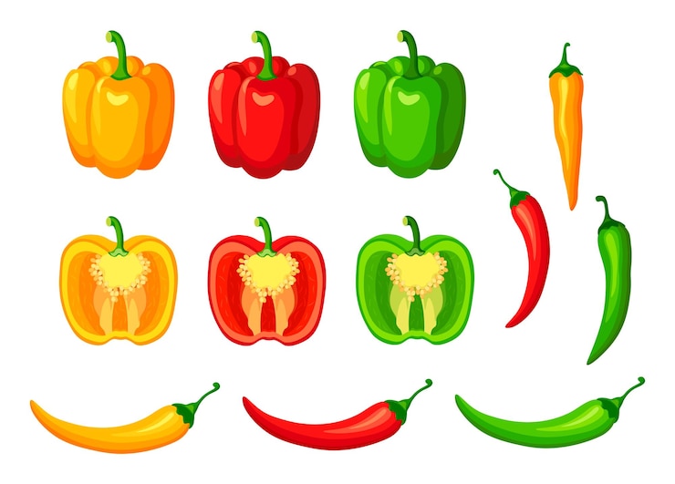 Vettore set di peperoncini dolci gialli, rossi e verdi freschi e peperoncini in stile cartone animato illustrazione vettoriale di verdure intere e tagliate a metà su sfondo bianco