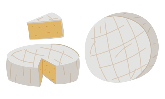 set di pezzi di formaggio Camembert di varie forme un piatto francese morbido e cremoso con brie di stile piatto