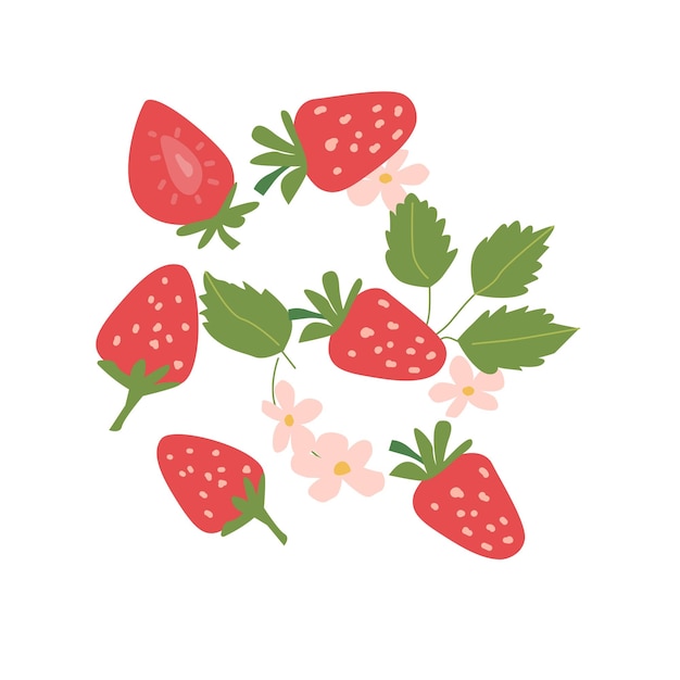 Set di piante di fragole astratte disegnate a mano Frutta intera in fette e foglie fiori