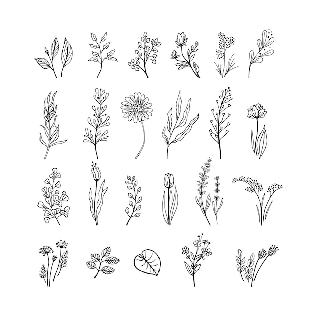 Set di piante diverse di colore nero disegnate a mano Foglie e fiori di rami bianchi e neri