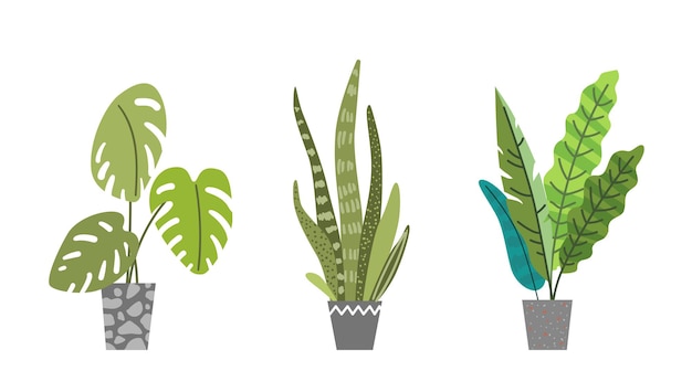 Set di piante domestiche Illustrazione colorata per il tuo design