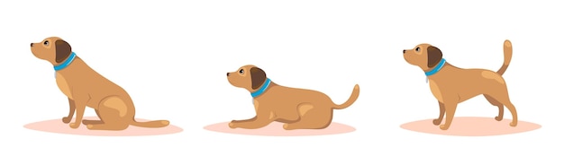 Set di pose del cane Concetto di addestramento per animali domestici Illustrazione vettoriale