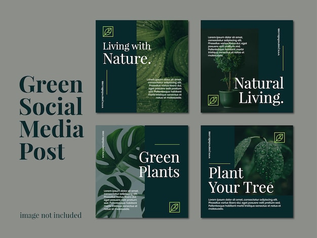 Set di post sui social media della natura verde