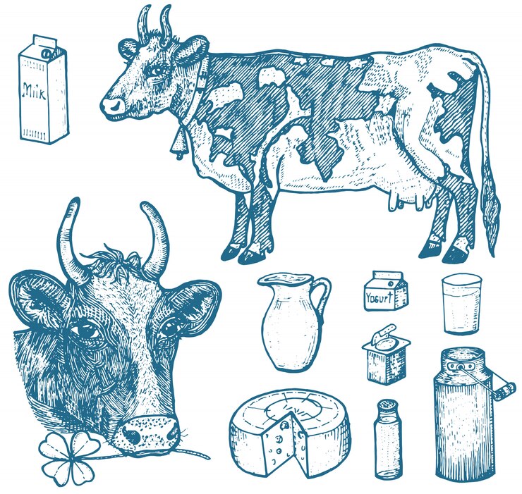Vettore set di prodotti lattiero-caseari, latticini, yogurt e formaggio, gelato, bottiglia, brocca, burro e frappè montato.