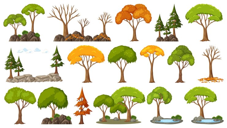 Vettore set di quattro alberi di stagioni su sfondo bianco