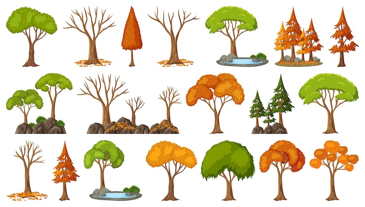 Vettore set di quattro alberi di stagioni su sfondo bianco