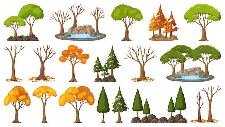 Vettore set di quattro alberi di stagioni su sfondo bianco