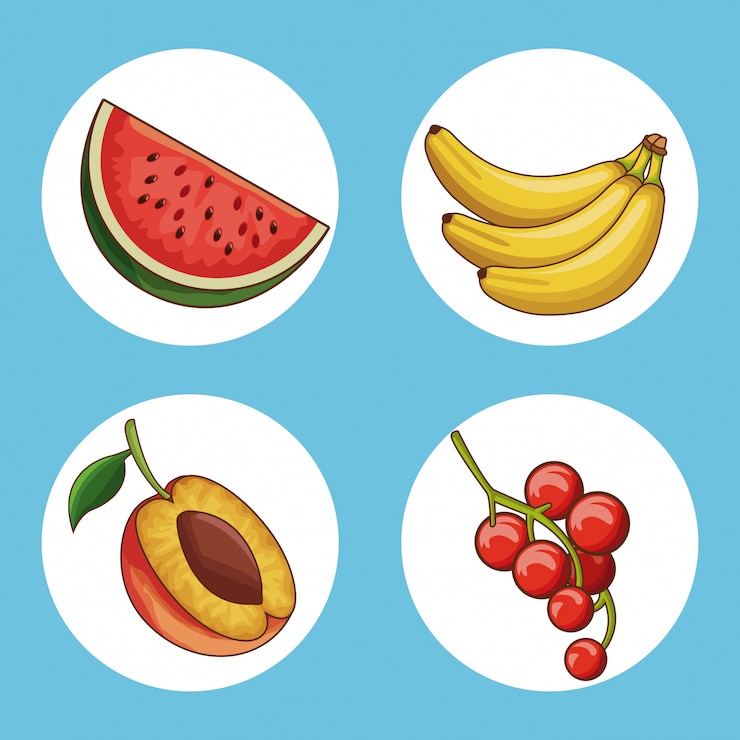 Vettore set di raccolta di icone rotonda di frutta