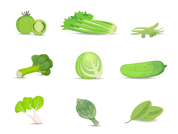 Set di raccolta di verdure verdi