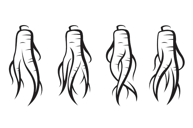 set di radici di ginseng