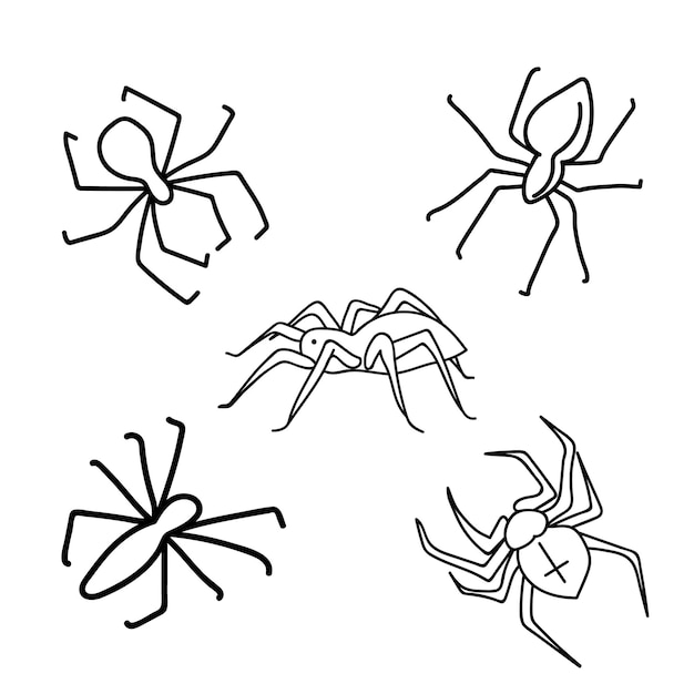 Set di ragni in stile doodle per halloween