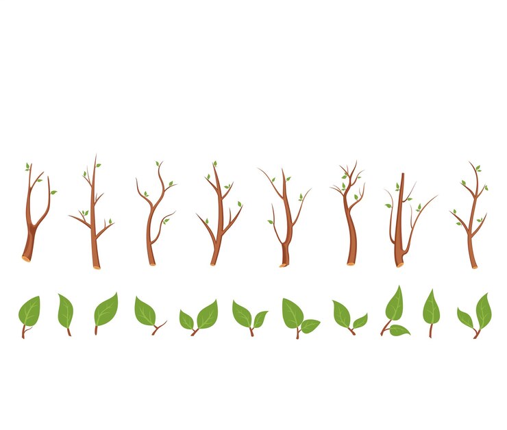 Vettore set di rami e foglie di primavera a silhouette minimalista organica elemento di design del logo a fiori semplici