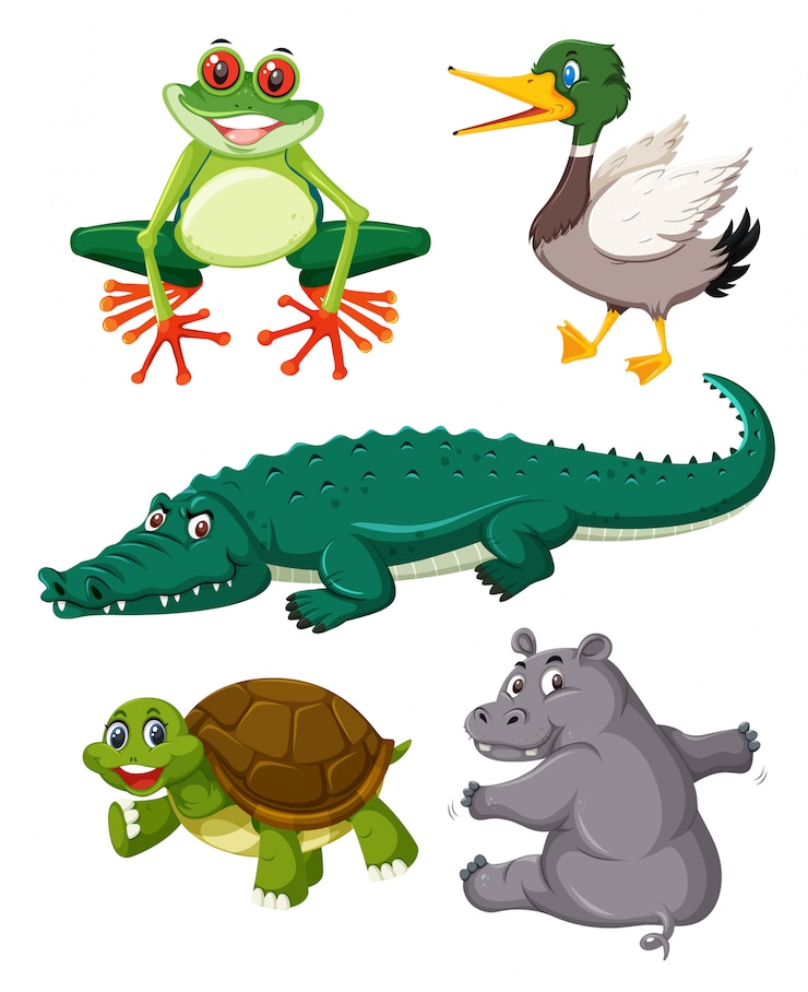 Vettore set di rettili animali