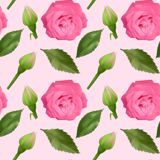 Set di rose colorate realistiche