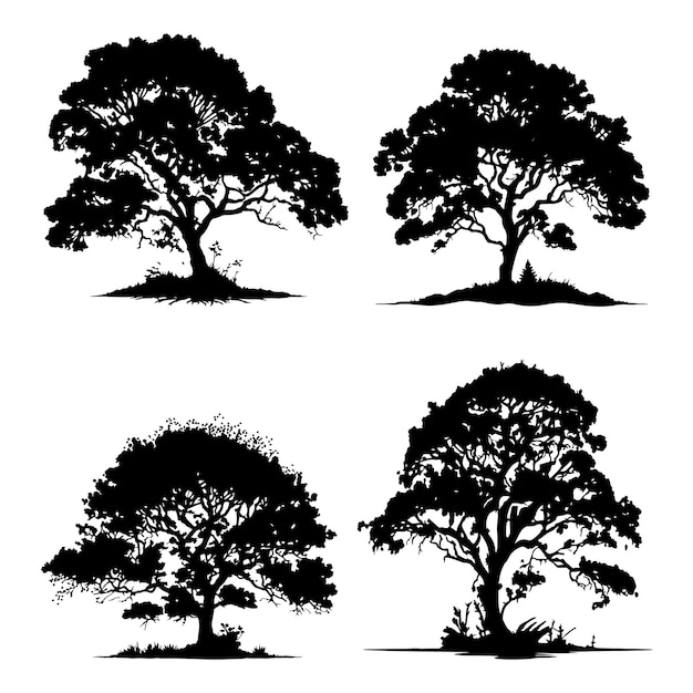 set di sagome vettoriali di grandi alberi Grande albero silhouette vettore nero isolato su sfondo bianco