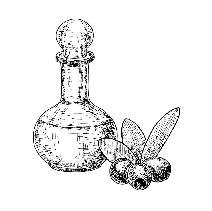 Vettore set di schizzi di bottiglia di frutta e olio d'oliva di olive. illustrazione disegnata a mano su sfondo bianco.