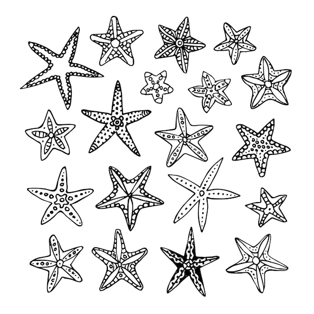 Set di schizzi di inchiostro di stelle marine.