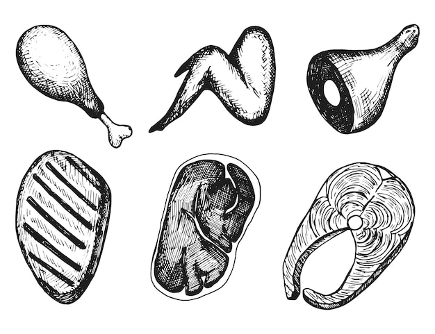 Set di schizzi disegnati a mano di vettore di cibo a base di carne