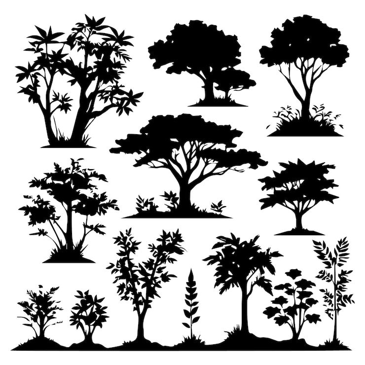 Set di silhouette di piante e alberi