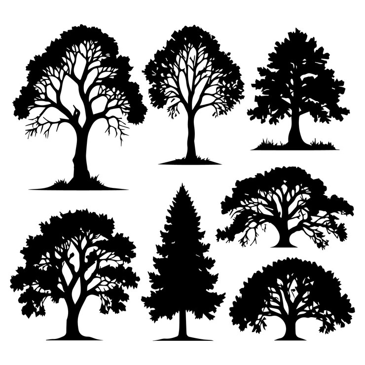 Set di silhouette di piante e alberi