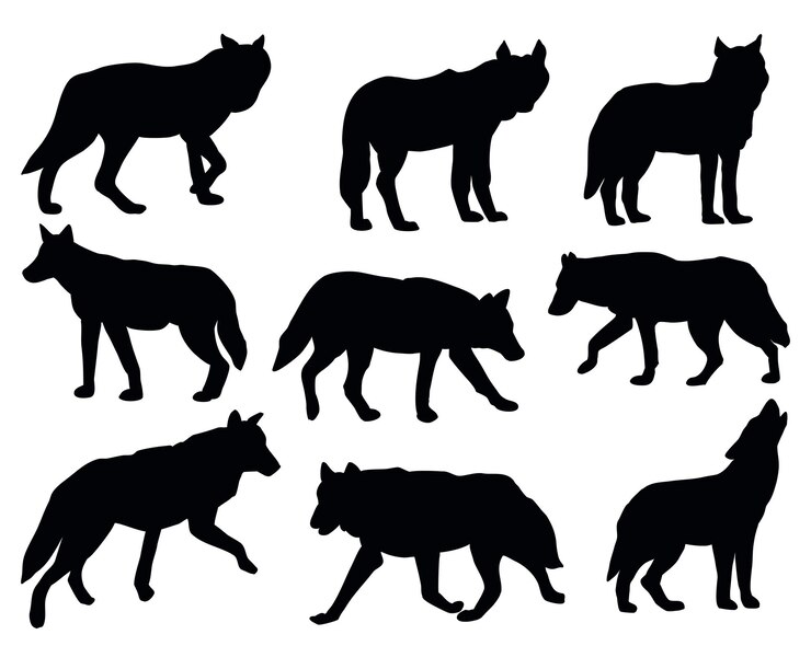 Vettore set di silhouette vettoriali di animali mammiferi lupi isolati su sfondo bianco