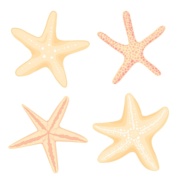 Set di stelle marine disegnate a mano cartoon piatto Acquario fauna reef habitat icona marina Estate natura oceano