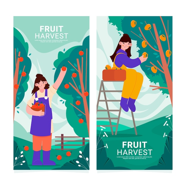 Set di striscioni piatti di raccolta della frutta disegnati a mano