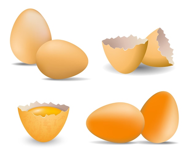 set di uova di gallina realistiche da allevamento di uova rotte o incrinate con guscio d'uovo o pollo all'uovo sodo