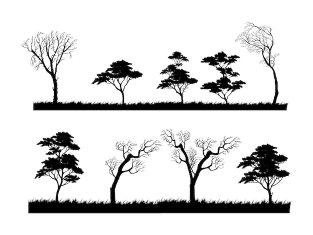 Set di varietà di piante e alberi illustrazione vettoriale isolata su sfondo bianco