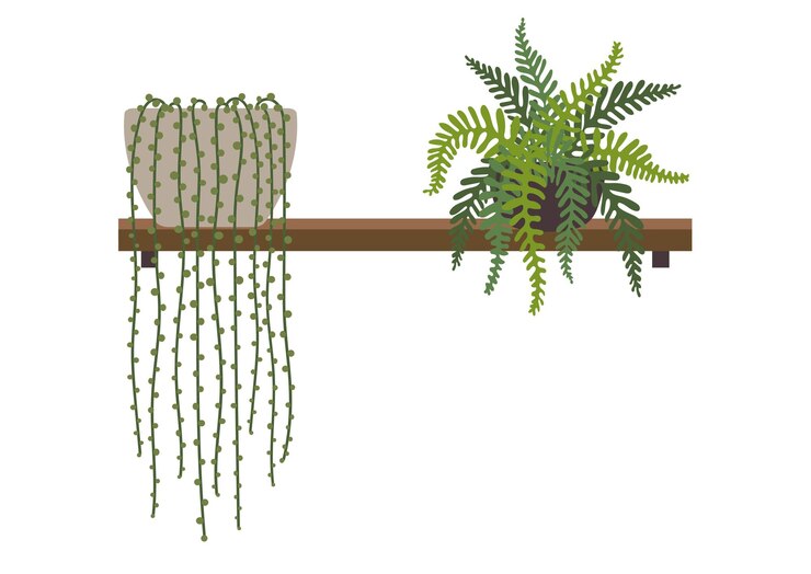 Vettore set di varietà di piante e alberi illustrazione