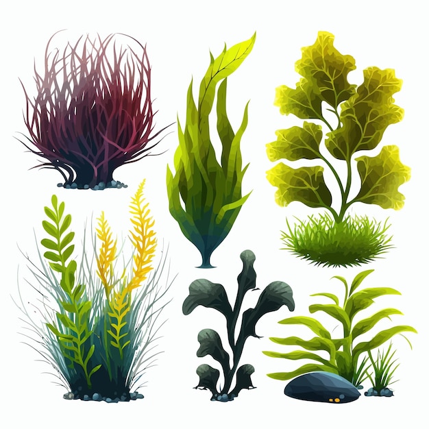 Set di vegetazione subacquea isolata sullo sfondo Illustrazione vettoriale piatta Cartoon