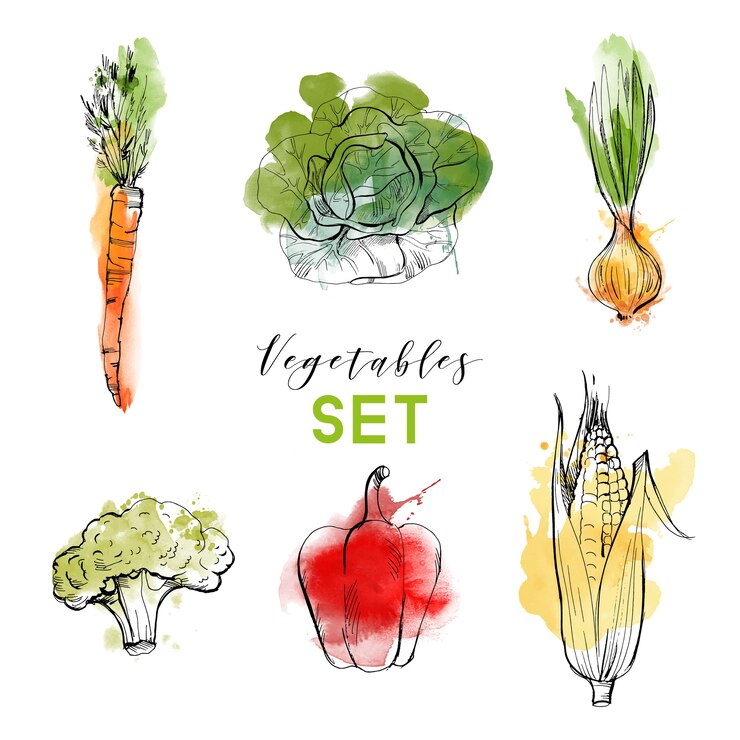 set di verdure ad acquerello. Schizzo disegnato a mano