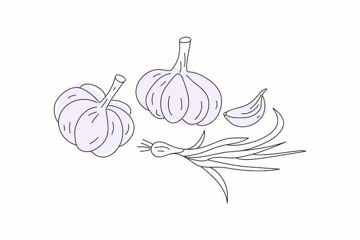 Vettore set di verdure cibo vitaminico vegetariano naturale doodle stile aglio aneto e peperoncino illustrazione vettoriale disegno schizzo