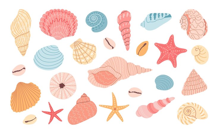 Vettore set di vettore colorato disegnare a mano conchiglie stelle marine alghe collezione vacanze estive